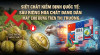 Siết chặt kiểm định quốc tế: Sầu riêng hóa chất đang dần mất chỗ đứng trên thị trường