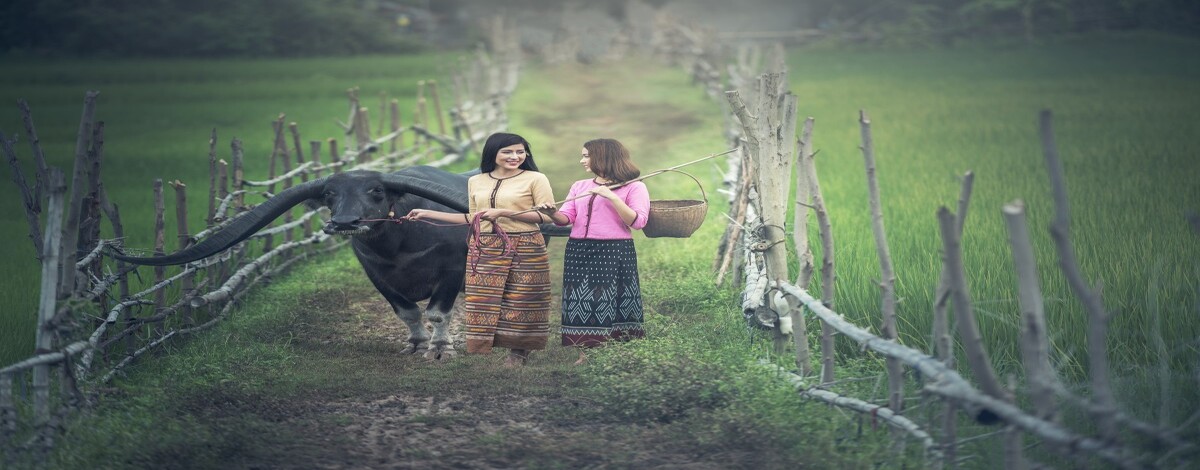 Join us in celebrating farm