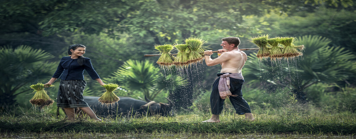 Discover the essence of nature